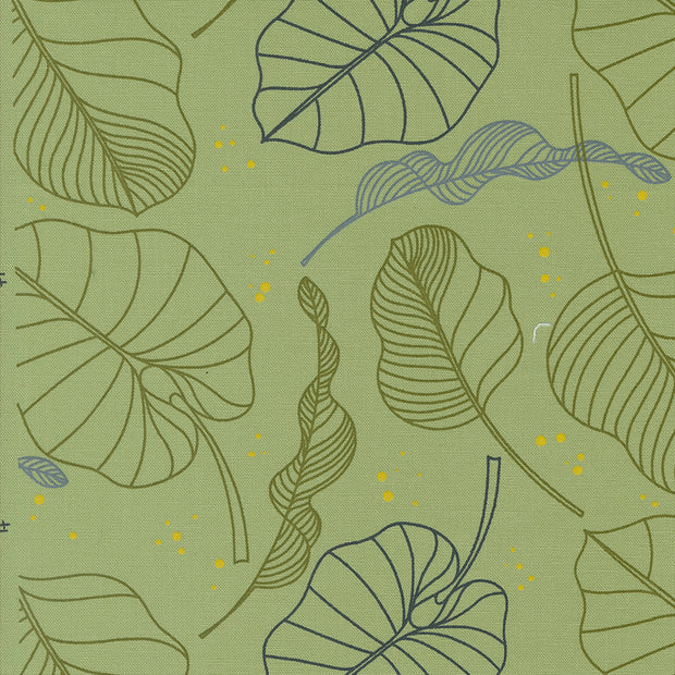 Moda Fabrics - Olive You Leaves Sage 1/2m