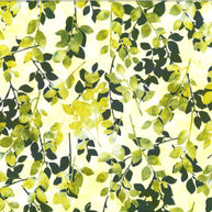 Hoffman Sweet Shoppe Batiks Chartreuse 1/2m
