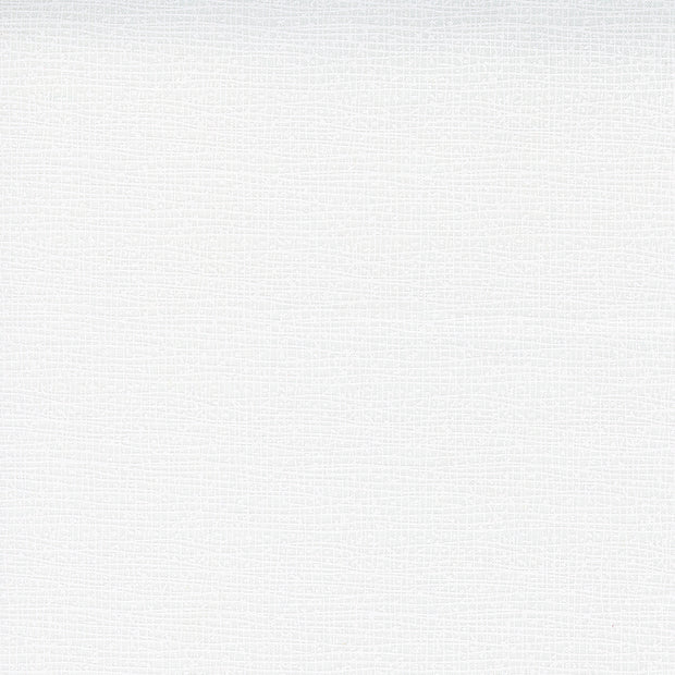 11174 150 - 108” Thatched Blizzard Extra Wide Quilt Backing (108in) by Robin Pickens 1/2m