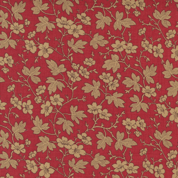 Bonheur De Jour Rouge 1/2m