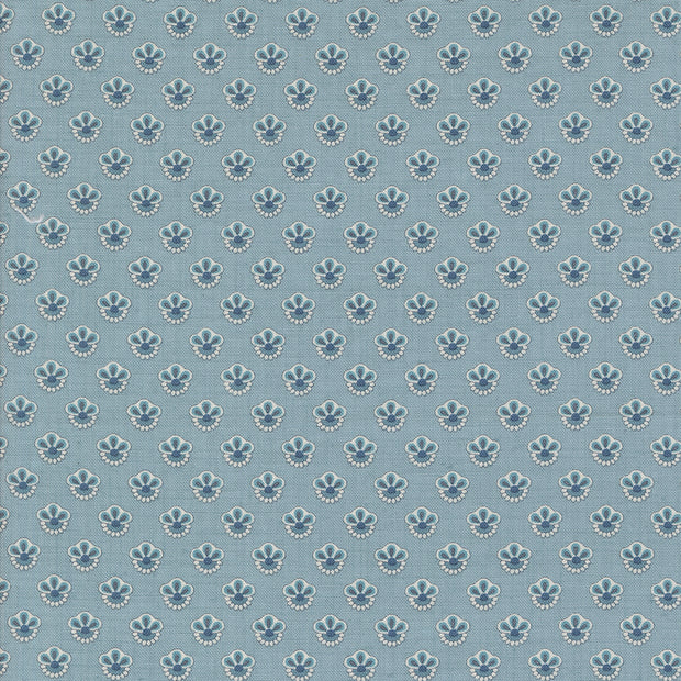 Sacre Bleu Campanule French Blue