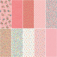 Riley Blake - Playtime 30's Fat Quarter Peony Pink Bundle