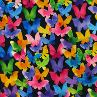 Moda Fabrics - Playgrounds Ink 1/2m