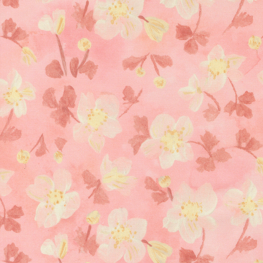 Sweet Cecily Anemone Rose