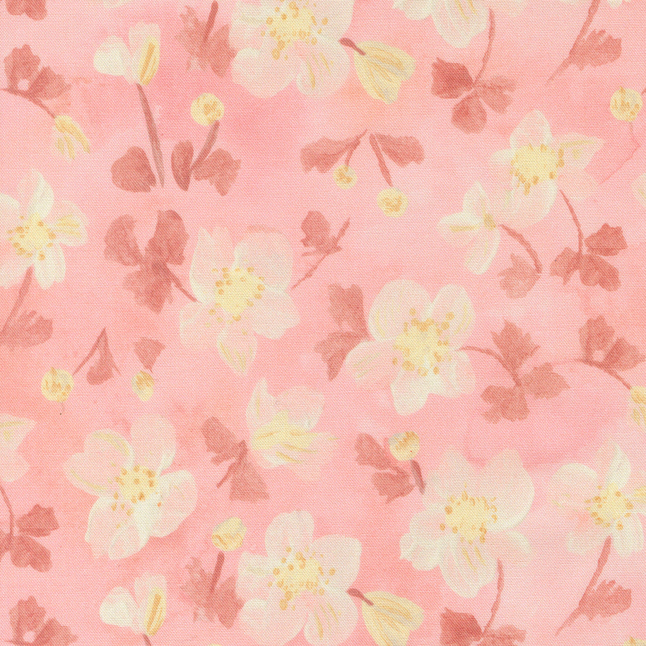 Sweet Cecily Anemone Rose