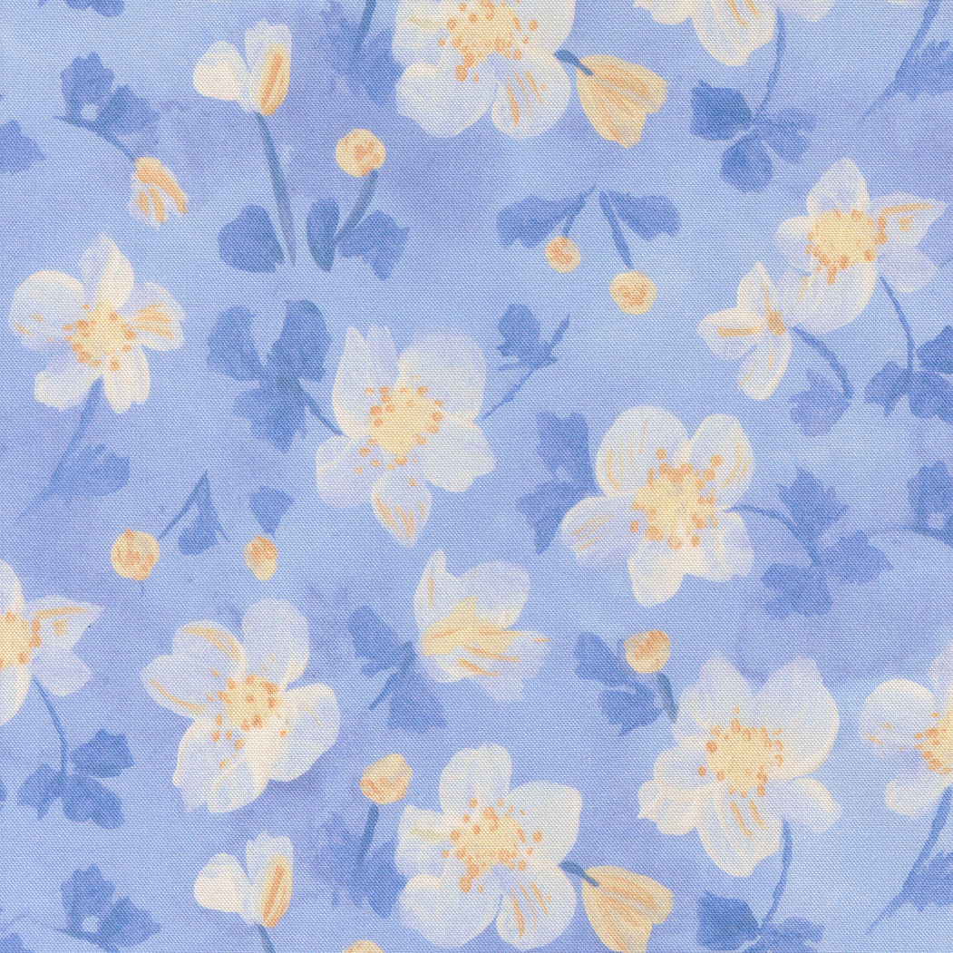 Sweet Cecily Anemone Hyacinth