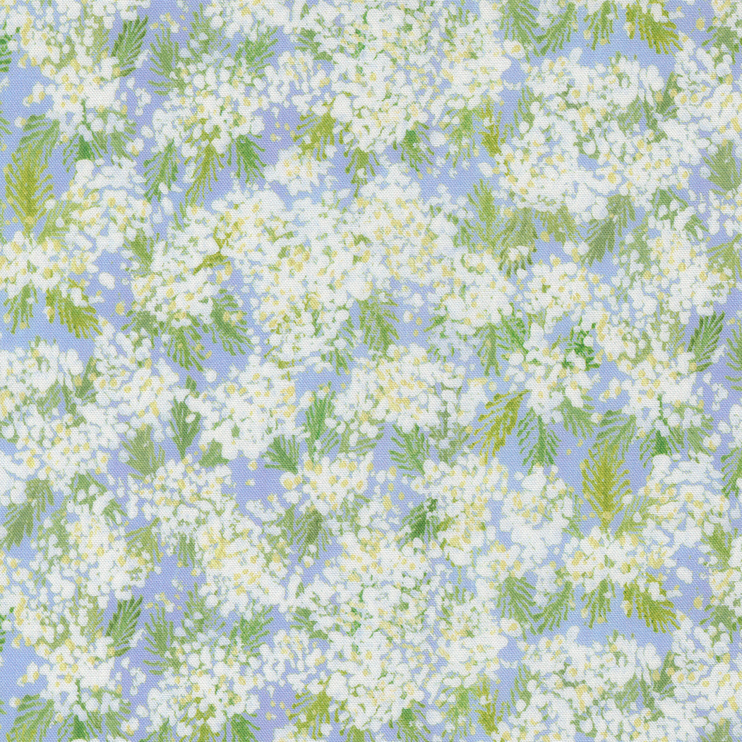 Sweet Cecily Queen Anne Hyacinth