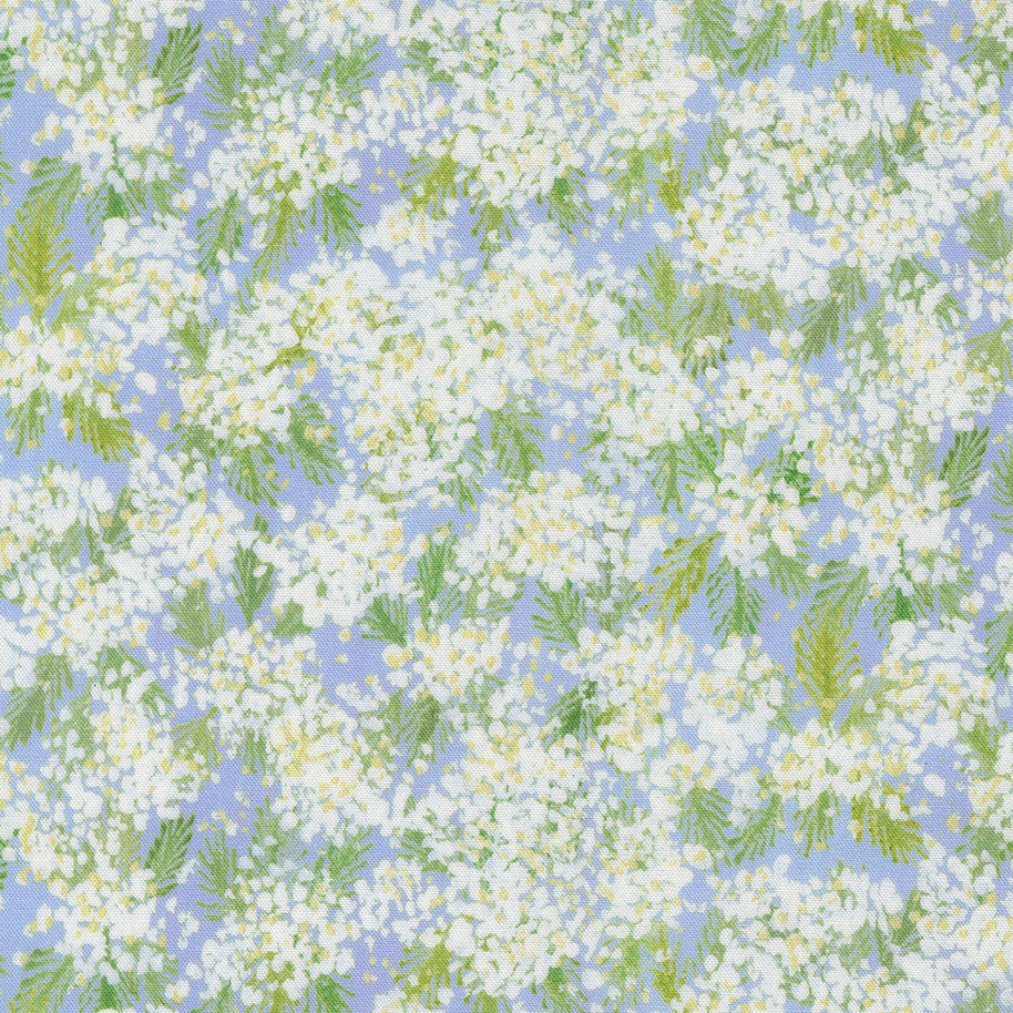 Sweet Cecily Queen Anne Hyacinth