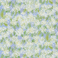 Sweet Cecily Queen Anne Hyacinth