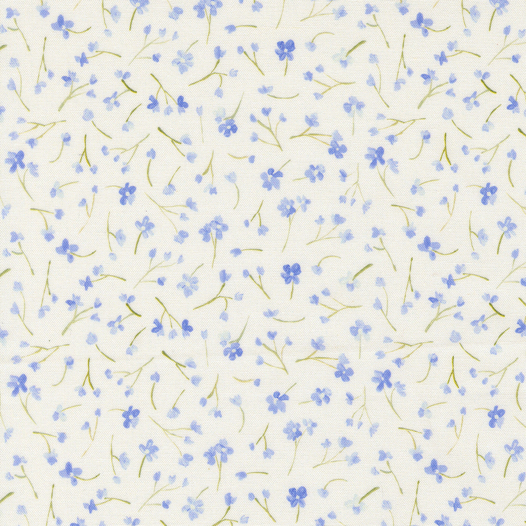 Sweet Cecily Forget Me Not Hyacinth