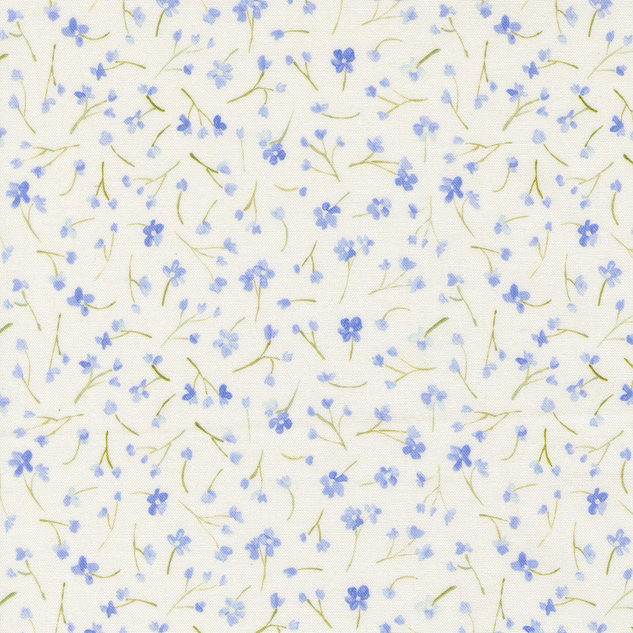 Sweet Cecily Forget Me Not Hyacinth