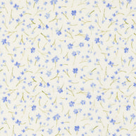 Sweet Cecily Forget Me Not Hyacinth