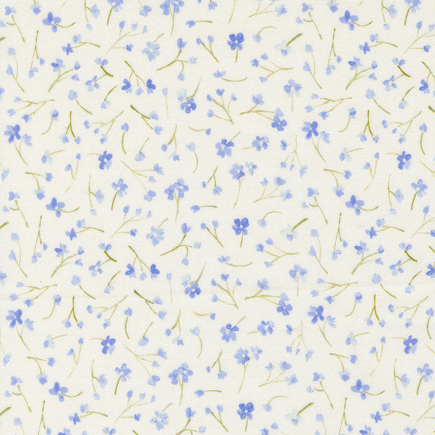 Sweet Cecily Forget Me Not Hyacinth