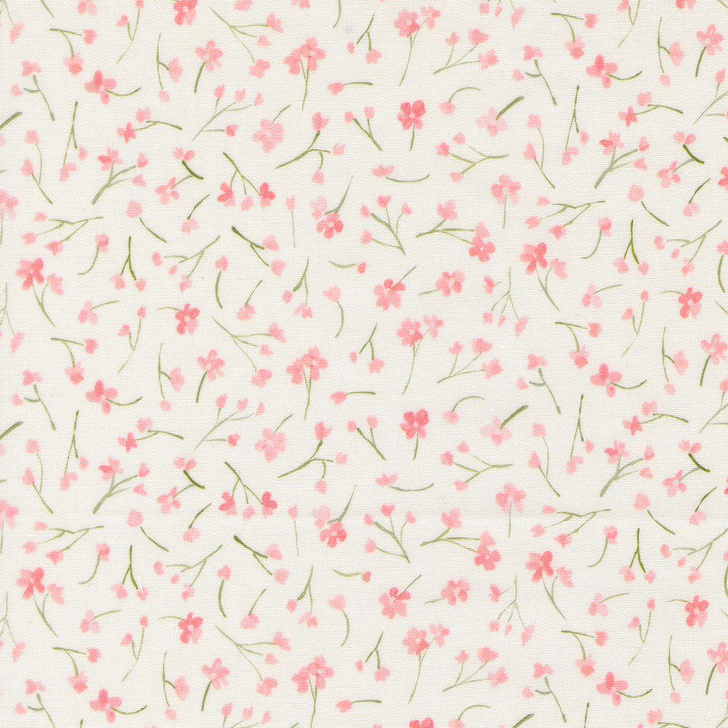 Sweet Cecily Forget Me Not Rose