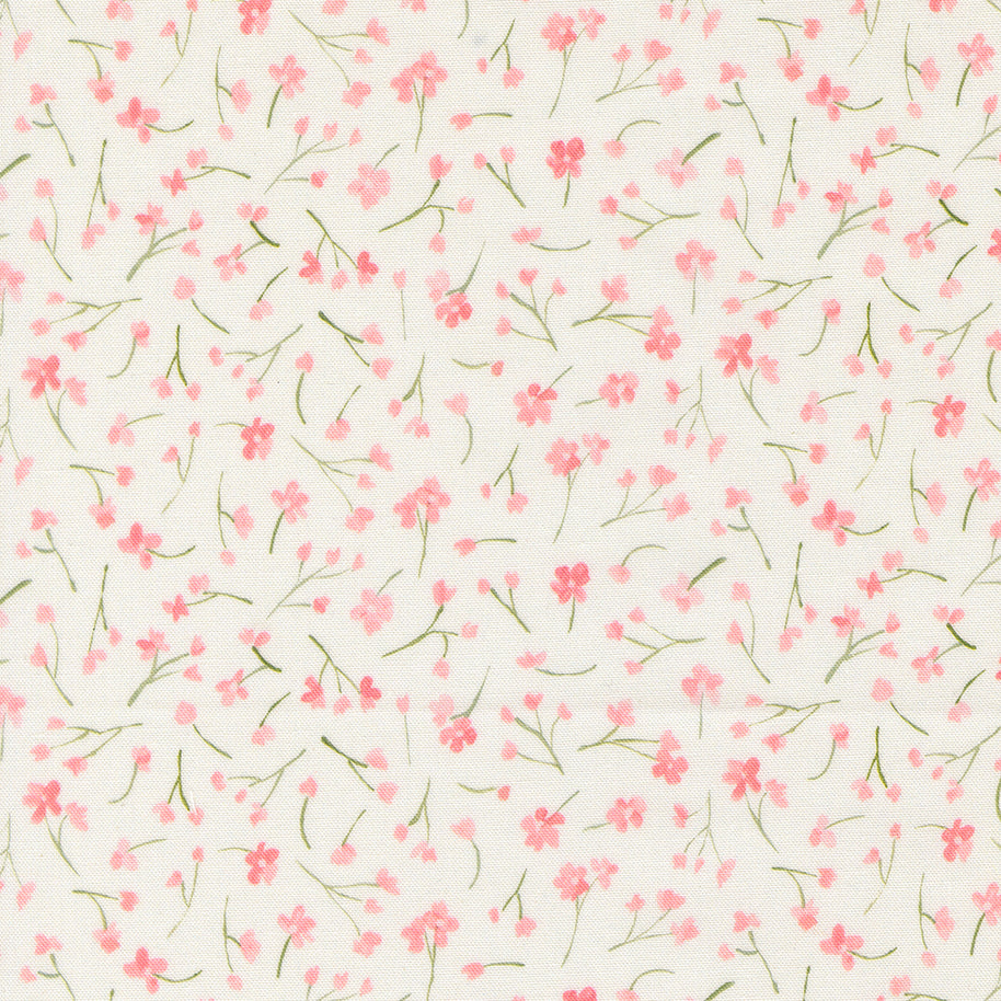 Sweet Cecily Forget Me Not Rose