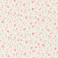 Sweet Cecily Forget Me Not Rose