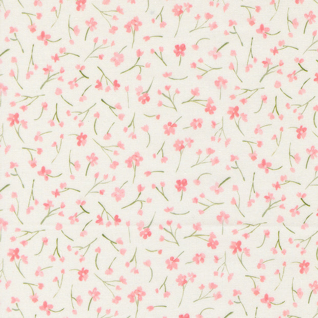 Sweet Cecily Forget Me Not Rose