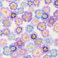 24650 11 Delphinium Snowdrop by Janet Clare 1/2m