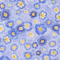 24650 13 Delphinium Bluebell by Janet Clare 1/2m
