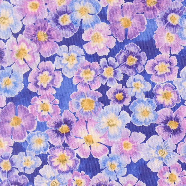 24650 15 Delphinium Agapanthus by Janet Clare 1/2m