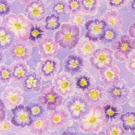 24650 17 Delphinium Mauve by Janet Clare 1/2m