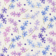 24651 11 Delphinium Snowdrop by Janet Clare 1/2m