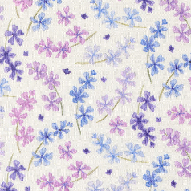 24651 11 Delphinium Snowdrop by Janet Clare 1/2m