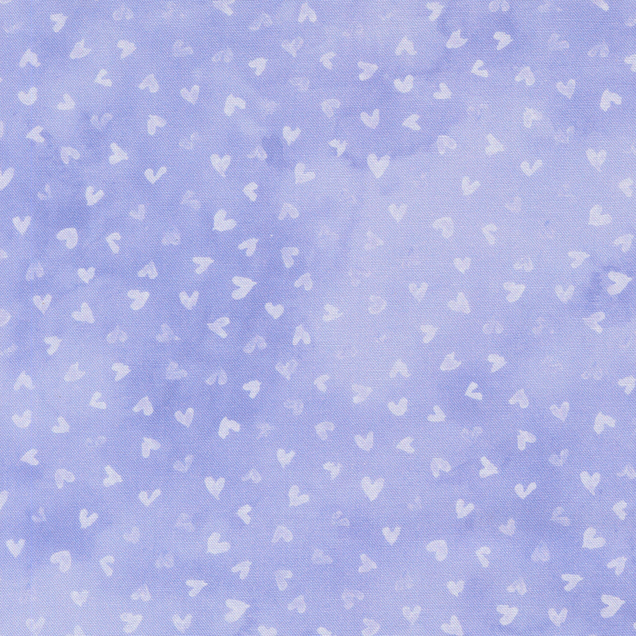 24653 13 Delphinium Snowdrop by Janet Clare 1/2m