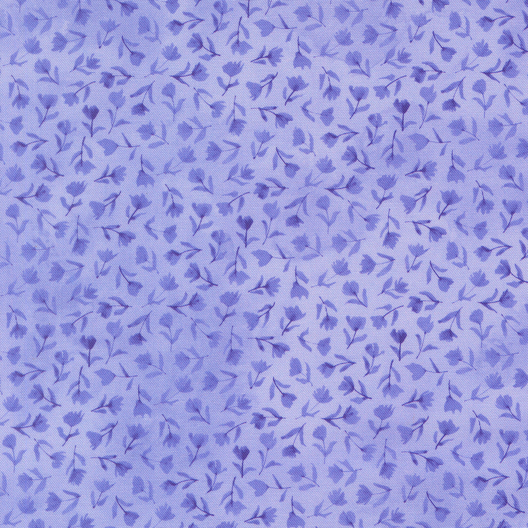 24654 13 Delphinium Bluebell by Janet Clare 1/2m