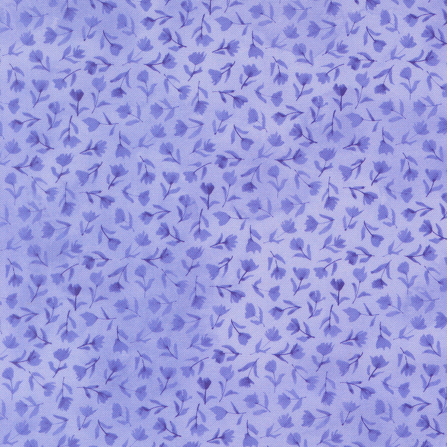 24654 13 Delphinium Bluebell by Janet Clare 1/2m