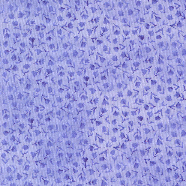 24654 13 Delphinium Bluebell by Janet Clare 1/2m