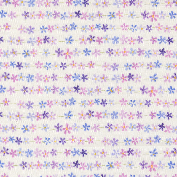 24655 11 Delphinium Snowdrop by Janet Clare 1/2m