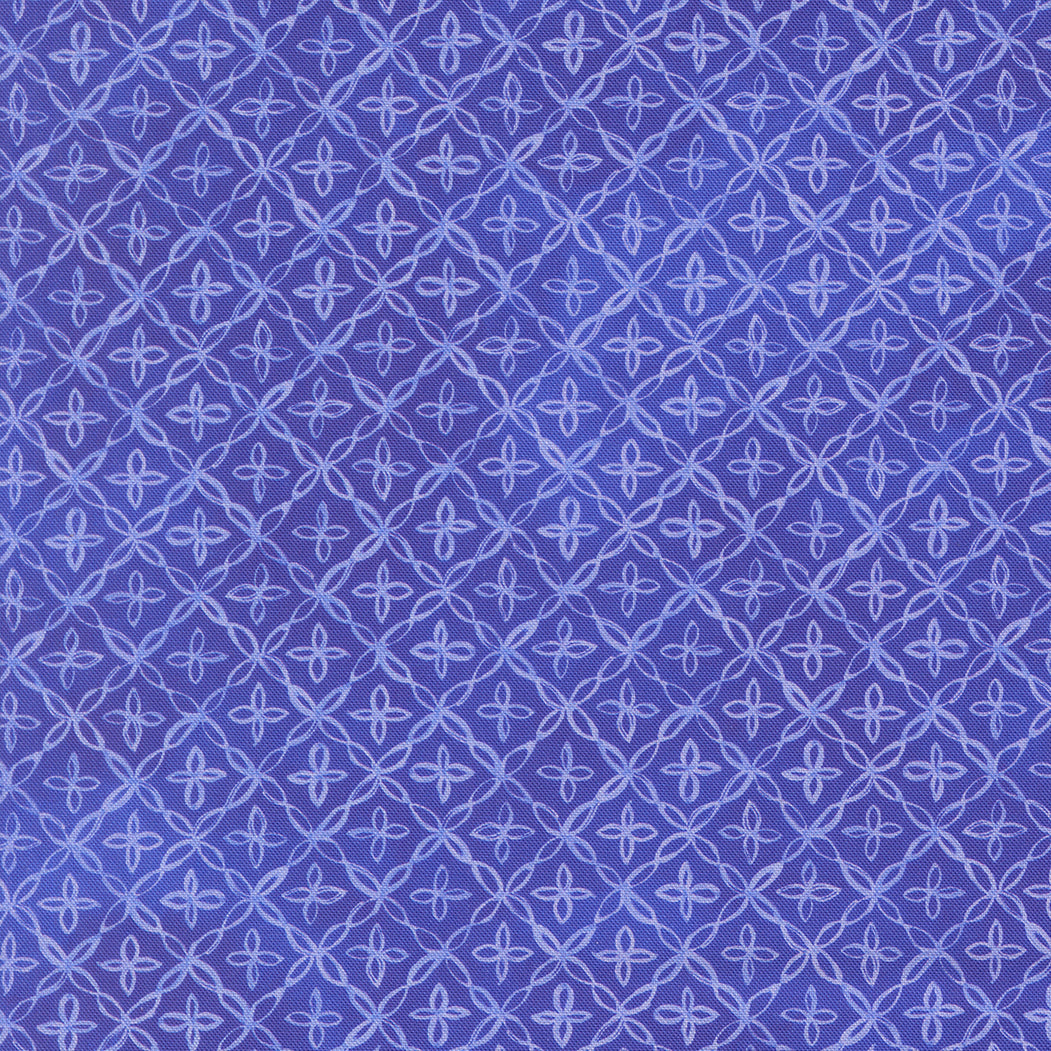 24656 18 Delphinium Agapanthus by Janet Clare 1/2m