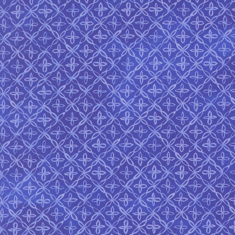 24656 18 Delphinium Agapanthus by Janet Clare 1/2m