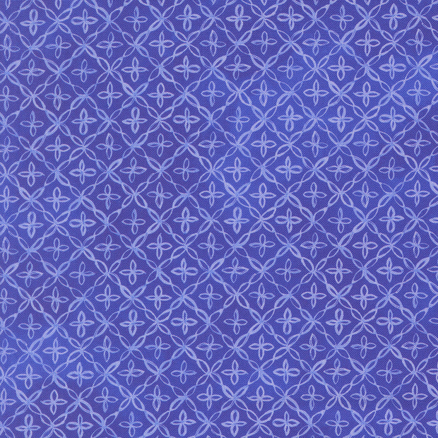24656 18 Delphinium Agapanthus by Janet Clare 1/2m