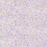 24658 11 Delphinium Snowdrop by Janet Clare 1/2m