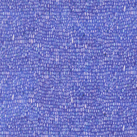 24658 16 Delphinium Agapanthus by Janet Clare 1/2m