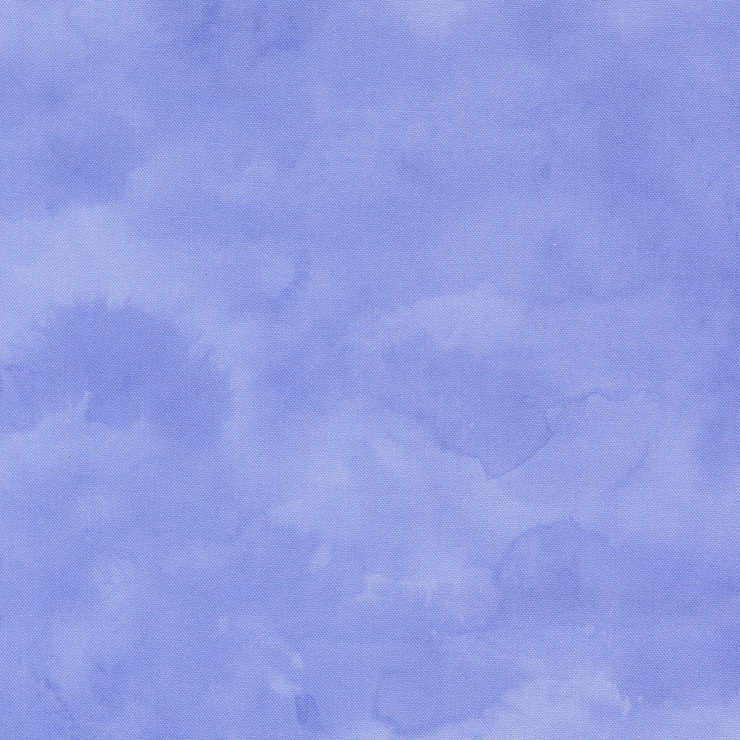 24660 13 Delphinium Bluebell by Janet Clare 1/2m