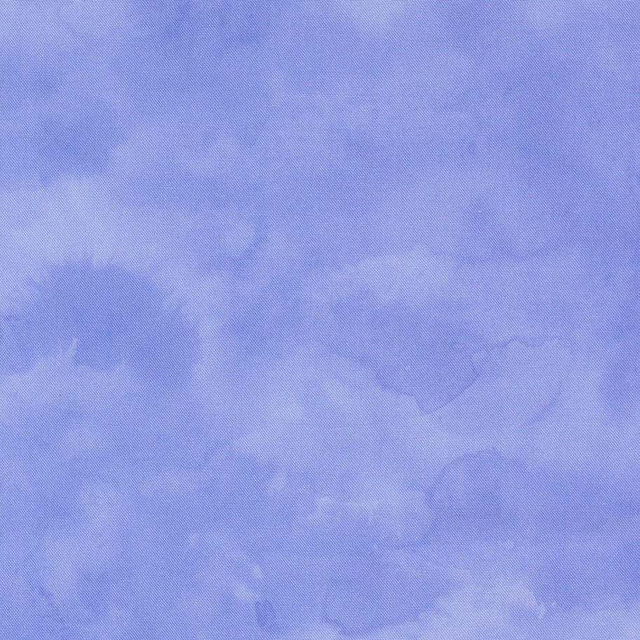 24660 13 Delphinium Bluebell by Janet Clare 1/2m