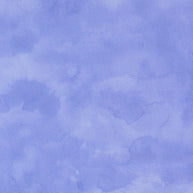 24660 13 Delphinium Bluebell by Janet Clare 1/2m