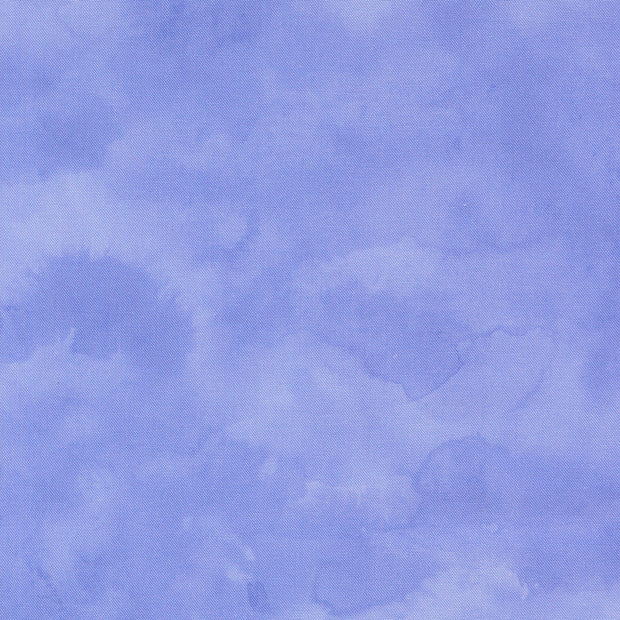 24660 13 Delphinium Bluebell by Janet Clare 1/2m