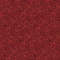 Shimmer 27895M-24 Tutti Fruiti by Deborah Edwards for Northcott Fabrics 1/2m