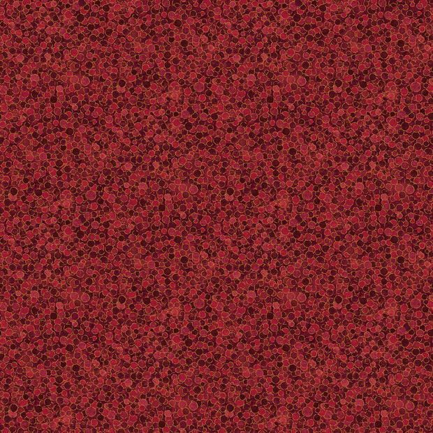 Shimmer 27895M-24 Tutti Fruiti by Deborah Edwards for Northcott Fabrics 1/2m