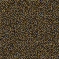 Shimmer 27895M-92 Desert Sand by Deborah Edwards for Northcott Fabrics 1/2m