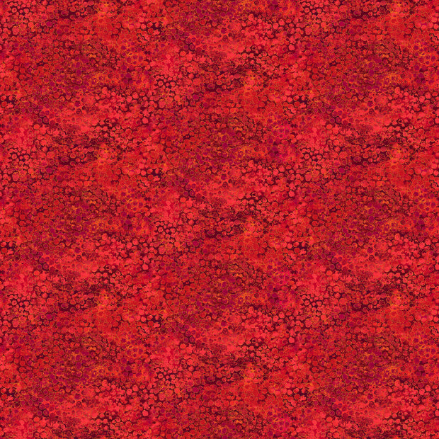 Shimmer 27896M-24 Tutti Fruiti by Deborah Edwards for Northcott Fabrics 1/2m