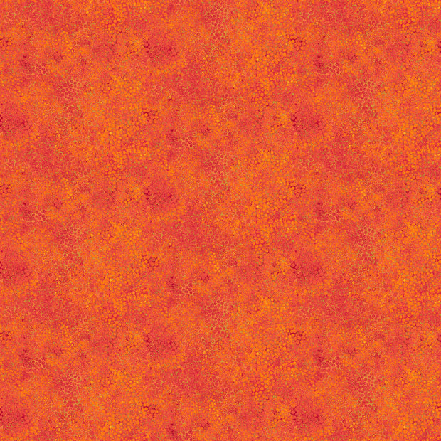 Shimmer 27897M-24 Tutti Fruiti by Deborah Edwards for Northcott Fabrics 1/2m