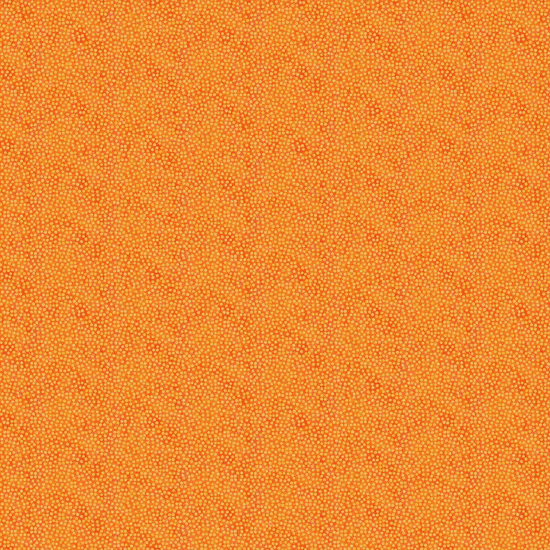 Shimmer 27898M-24 Tutti Fruiti by Deborah Edwards for Northcott Fabrics 1/2m