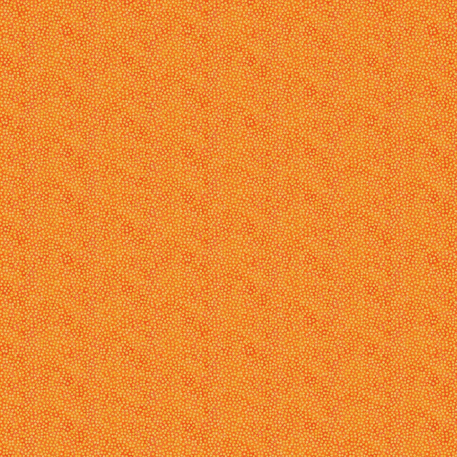 Shimmer 27898M-24 Tutti Fruiti by Deborah Edwards for Northcott Fabrics 1/2m