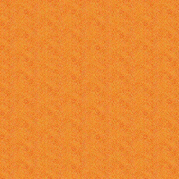 Shimmer 27898M-24 Tutti Fruiti by Deborah Edwards for Northcott Fabrics 1/2m
