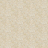 Shimmer 27899M-92 Desert Sand by Deborah Edwards for Northcott Fabrics 1/2m